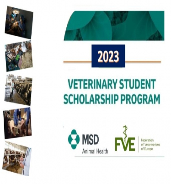 Programa de bolsas MSD & FVE 2023, para estudantes de veterinaria