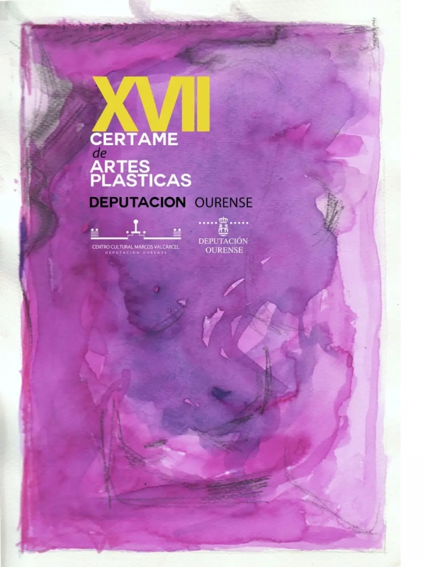 XVII Certame de Artes Plásticas Deputación de Ourense