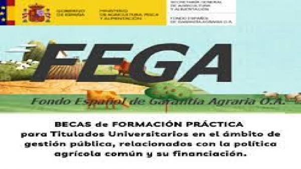 5 bolsas de formación práctica relacionada coa política agrícola común e o seu financiamento