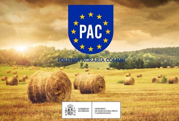 Bolsas relacionadas coa política agrícola común