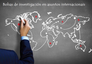 Bolsas de investigación na área de Asuntos Internacionais