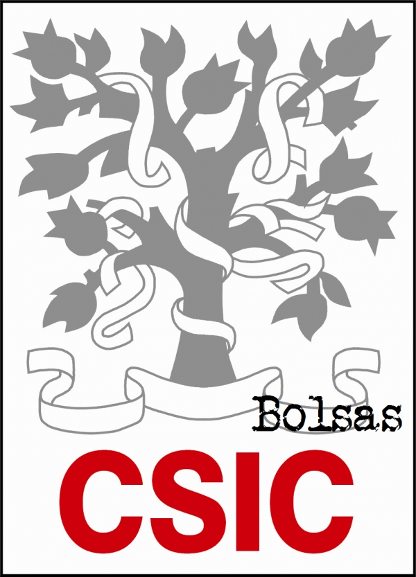 Bolsas de investigación no CSIC