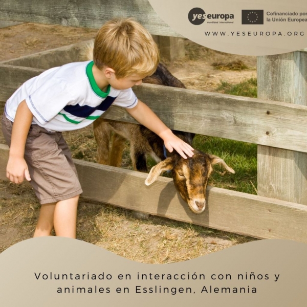 Voluntariado en interacción con nenos e animais en Alemaña